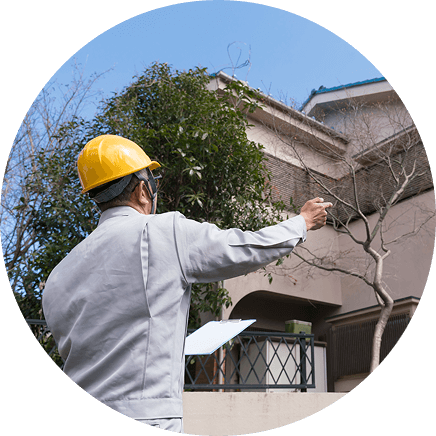 現地を調査するスタッフ