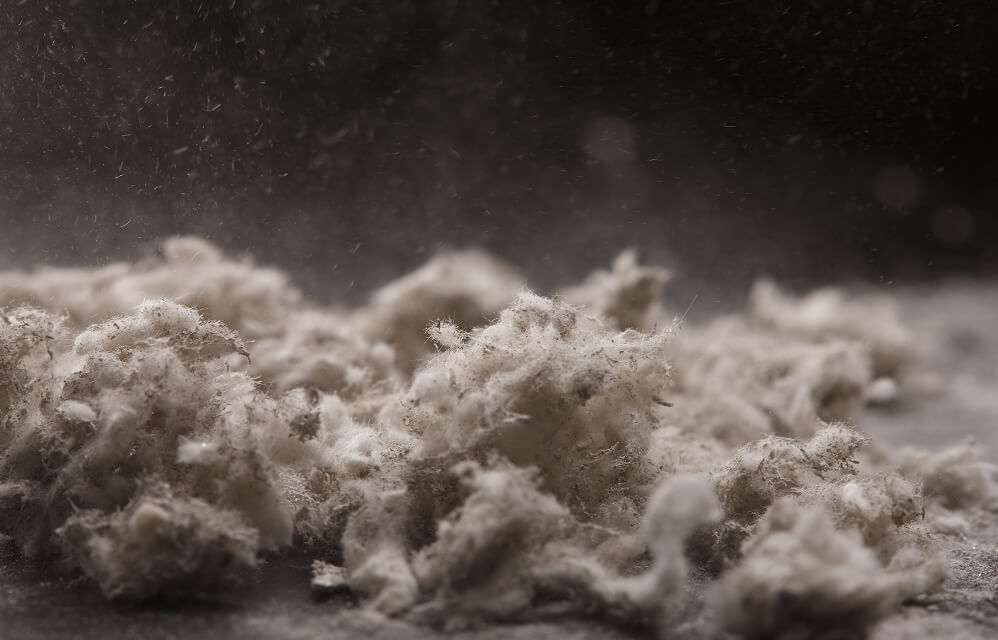 アスベスト調査