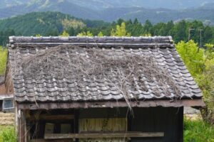 再建築不可物件の活用方法解体後の成功事例