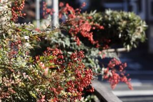庭の解体前にお祓いは必要か
