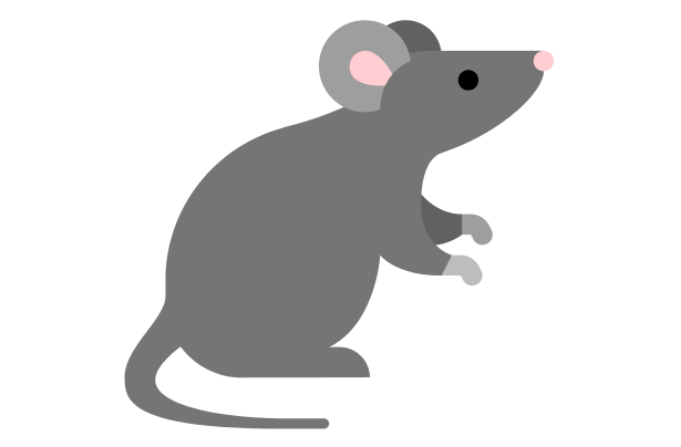 解体工事でネズミの発生原因