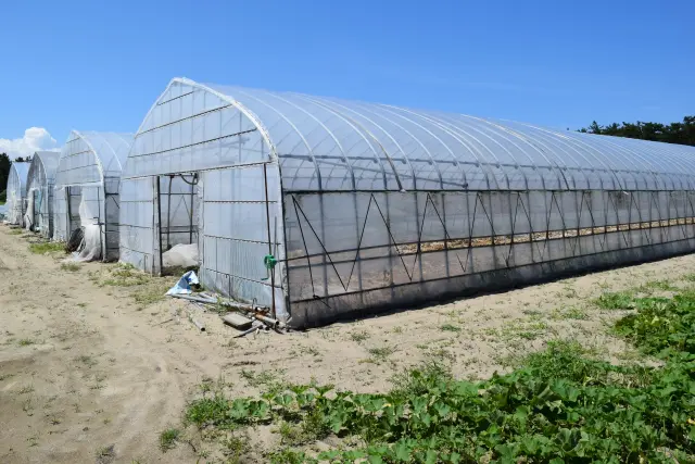 ビニールハウスの解体・撤去方法とは？費用や注意点を岡山の解体工事