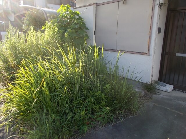 山口で解体すべき老朽化空き家のサイン