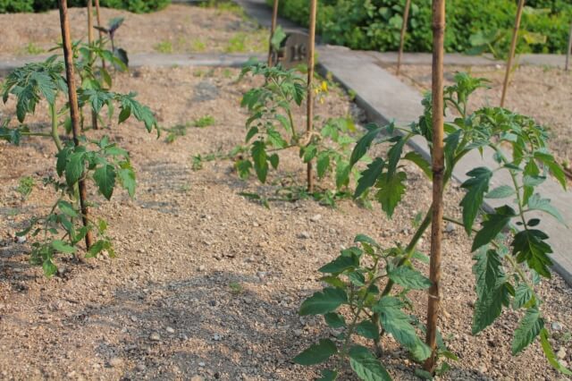 鳥取で倉庫解体後の土地活用アイデア