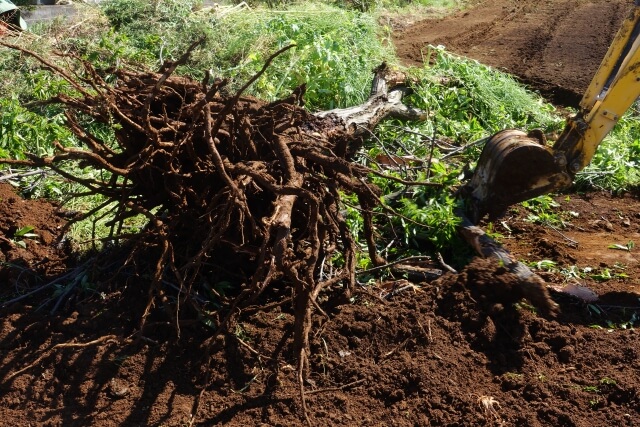 兵庫の抜根はDIYが可能か