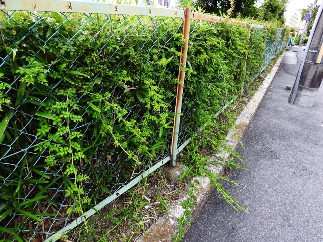 島根でフェンスの撤去が必要なケース