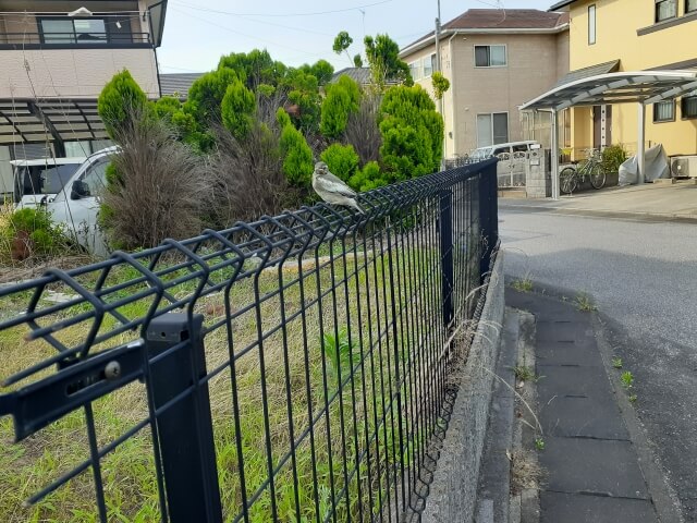 島根でフェンス撤去時の注意点